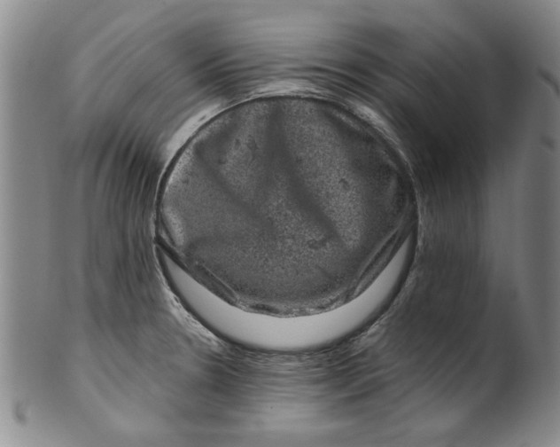 X0000100391330200806271348