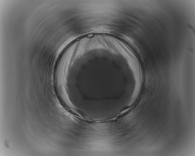 X0000100391331200806271348