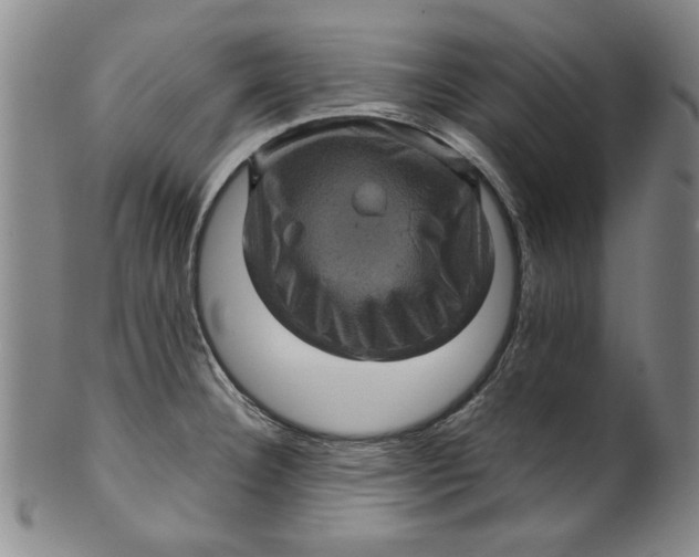 X0000100391332200806271348