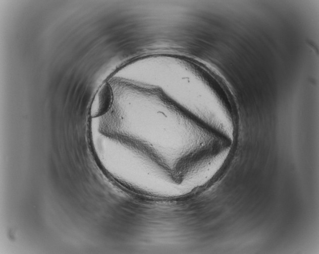 X0000100391333200806271348