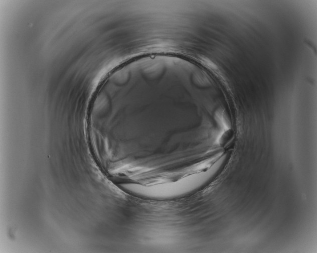 X0000100391334200806271348