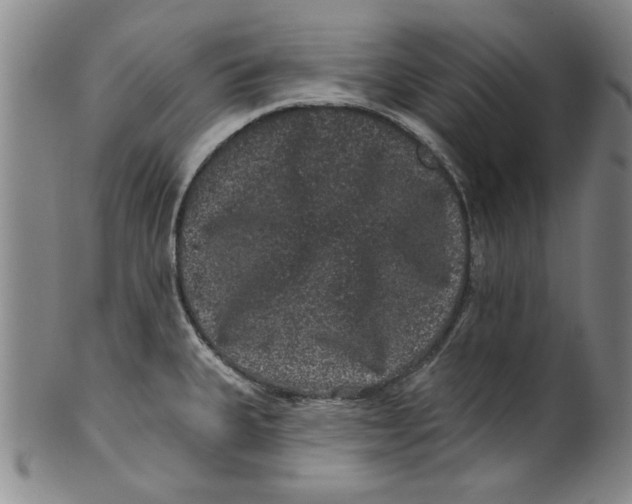 X0000100391335200806271348