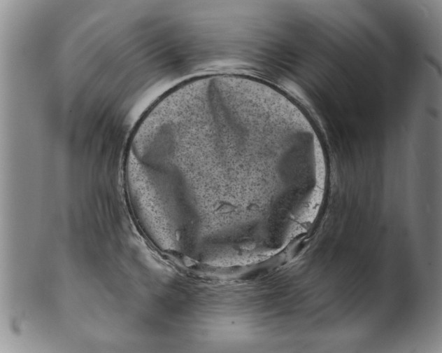 X0000100391336200806271348