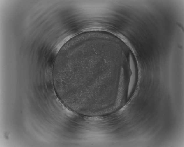 X0000100391337200806271348