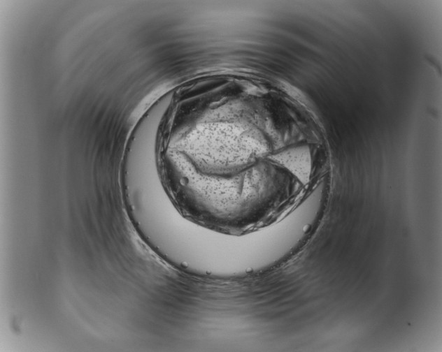 X0000100391338200806271348