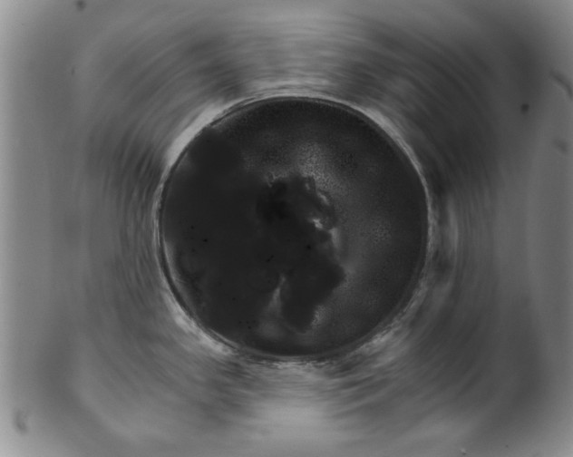 X0000100391341200806271348