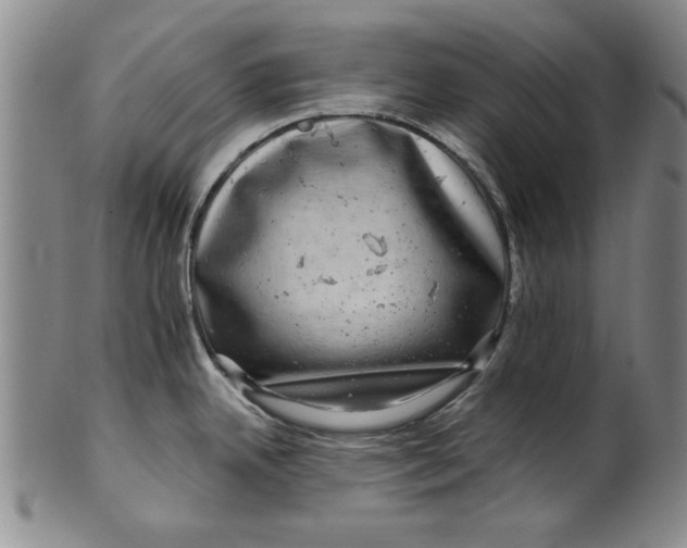 X0000100391342200806271348