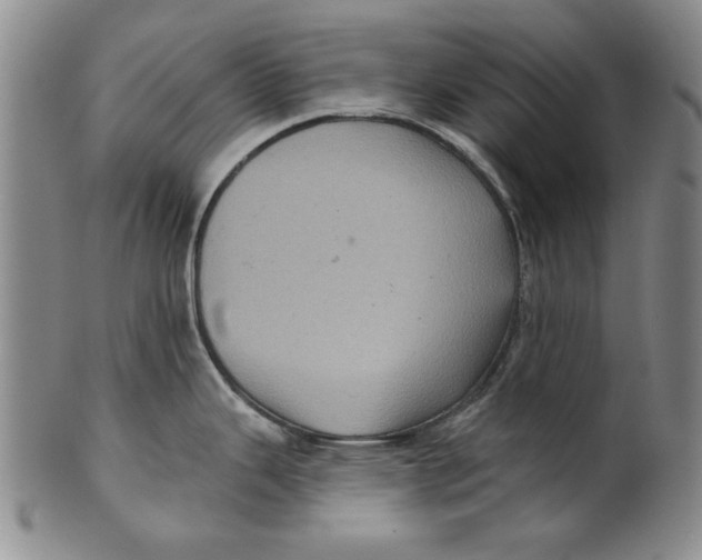 X0000100391343200806271348