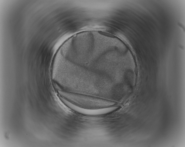 X0000100391344200806271348