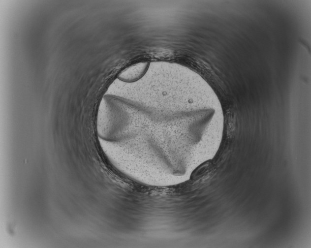 X0000100391345200806271348