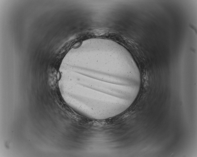 X0000100391349200806271348