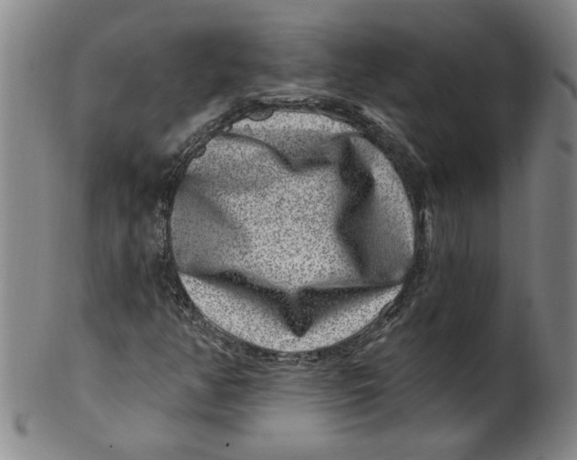 X0000100391350200806271348