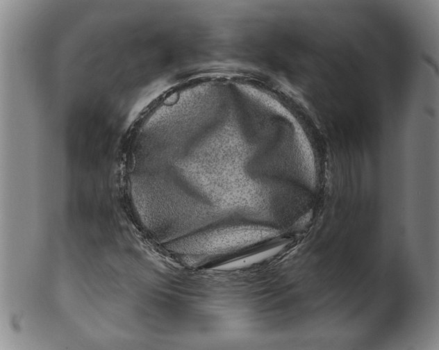 X0000100391352200806271348