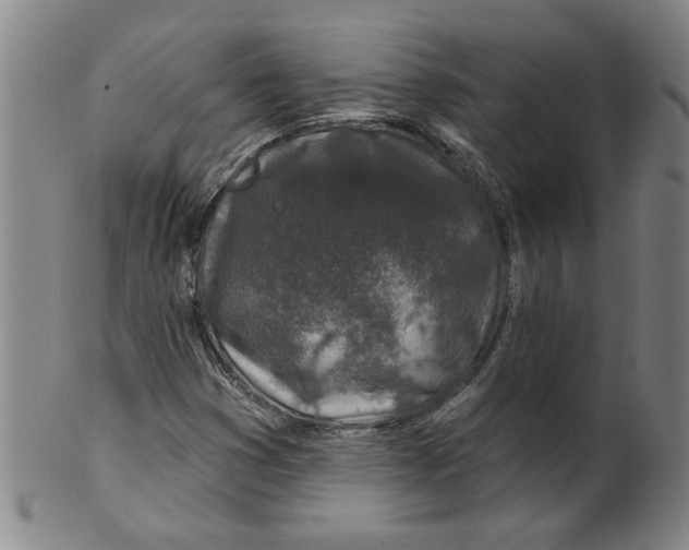 X0000100391353200806271348