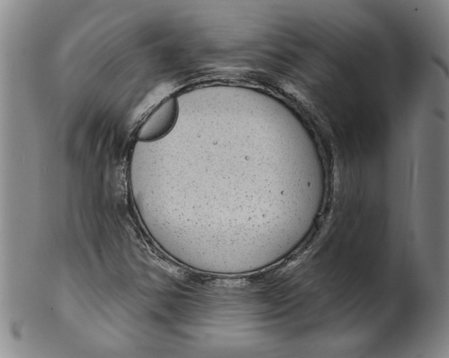 X0000100391354200806271348