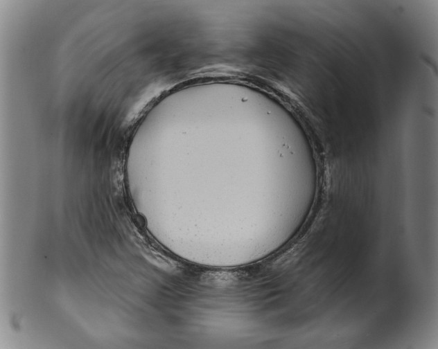 X0000100391355200806271348