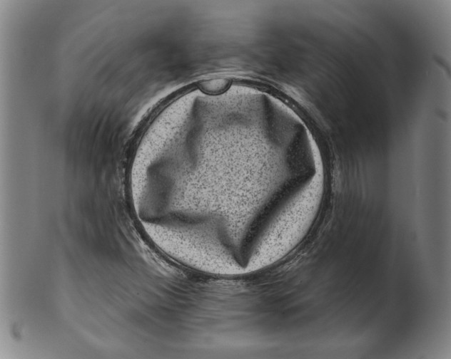 X0000100391356200806271348