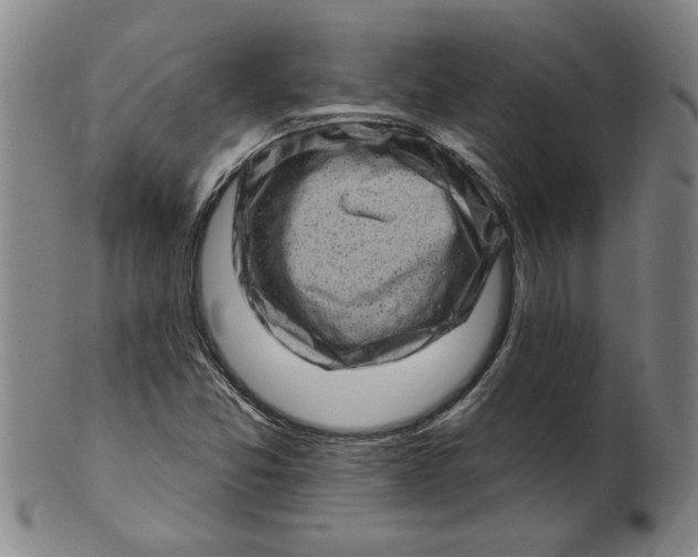 X0000100391357200806271348