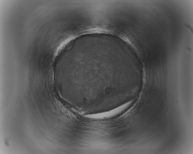 X0000100391358200806271348