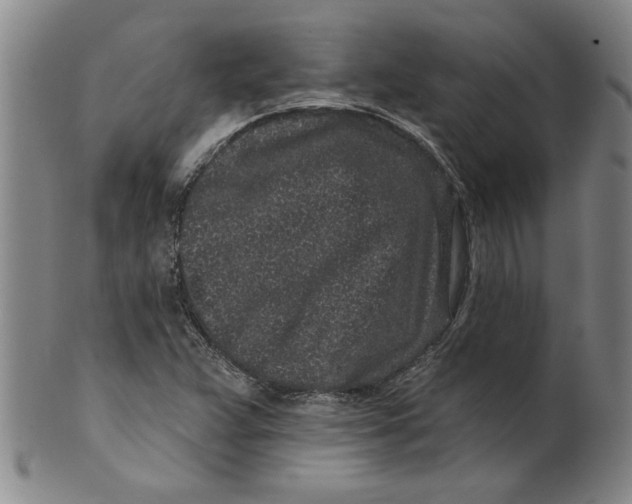 X0000100391359200806271348