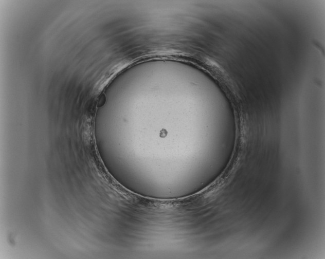 X0000100391361200806271348