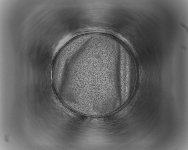 X0000100391365200806271347