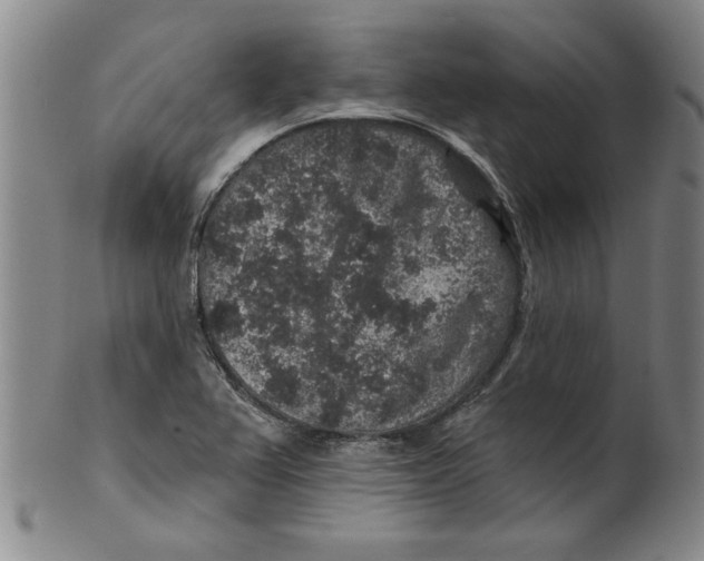 X0000100391367200806271347