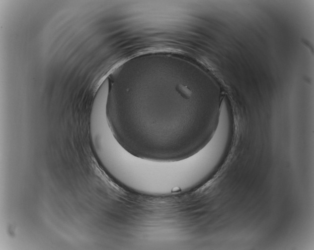 X0000100391369200806271347