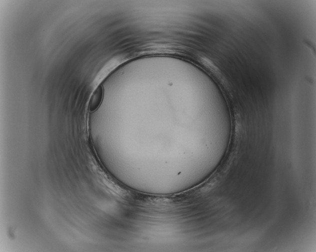 X0000100391370200806271347