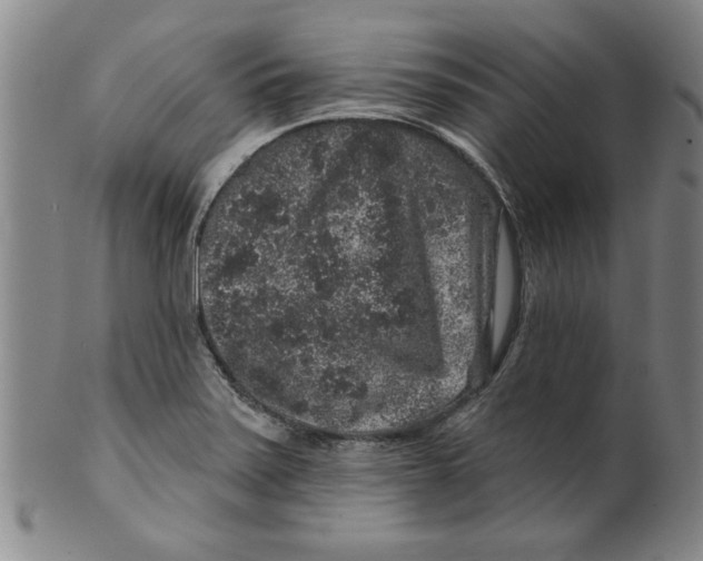 X0000100391371200806271347