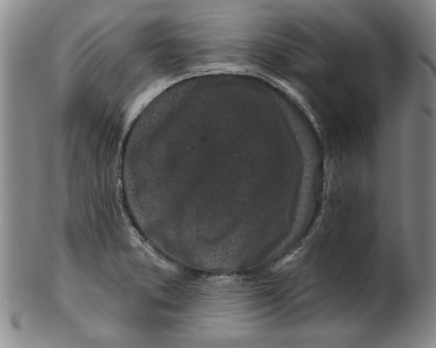 X0000100391373200806271347