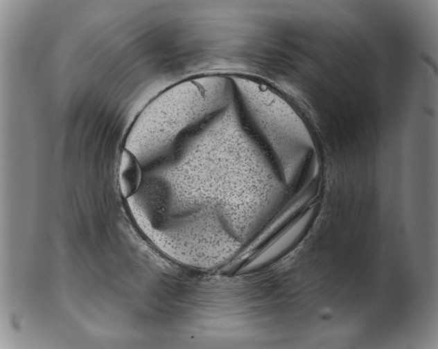 X0000100391374200806271347