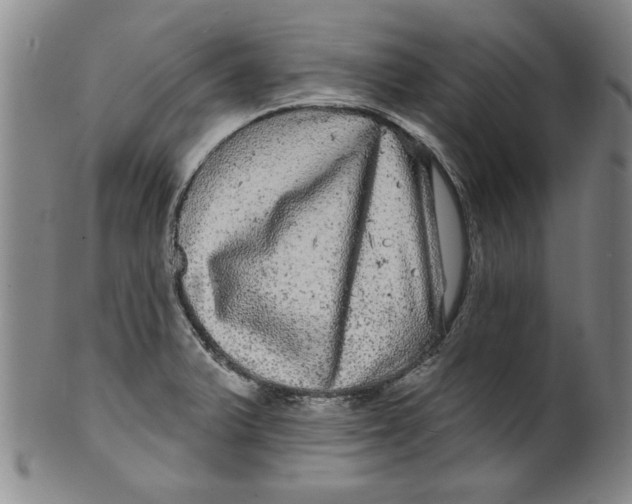 X0000100391375200806271347