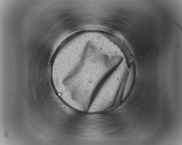 X0000100391376200806271347