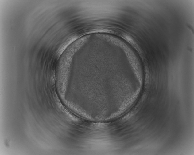 X0000100391377200806271347