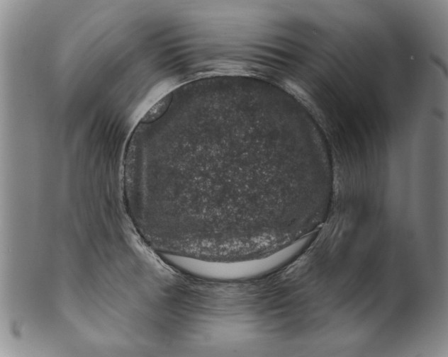 X0000100391378200806271347