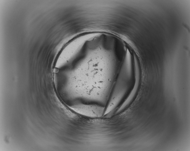 X0000100391380200806271347