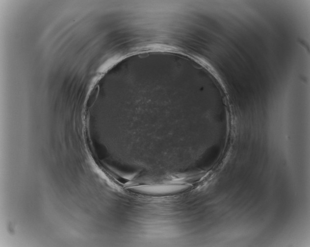 X0000100391381200806271347