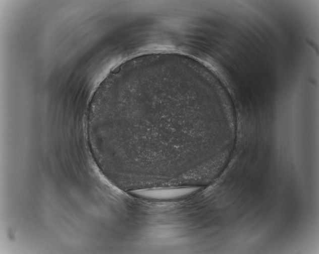 X0000100391382200806271347