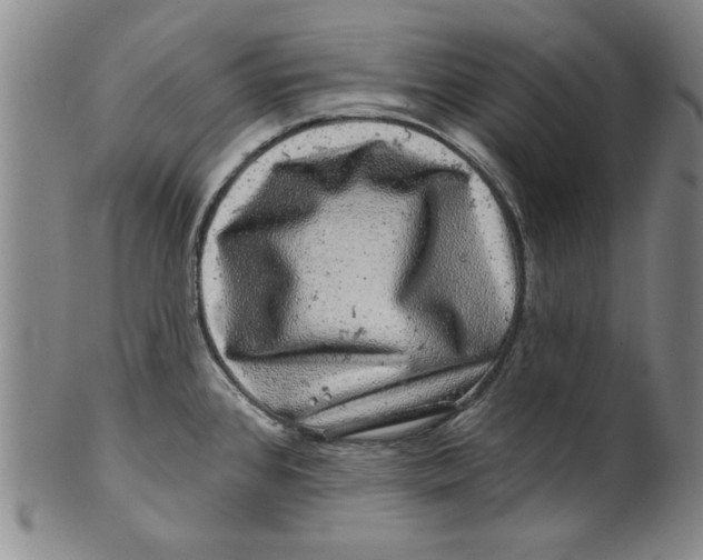 X0000100391384200806271347