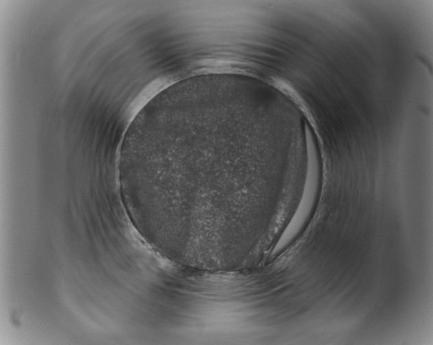 X0000100391386200806271347