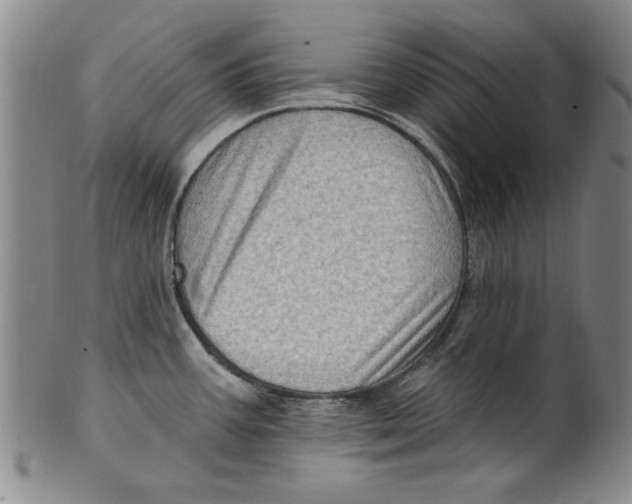 X0000100391387200806271347