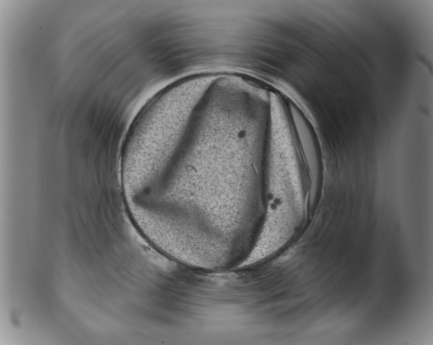 X0000100391388200806271347