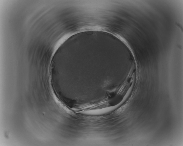 X0000100391389200806271347