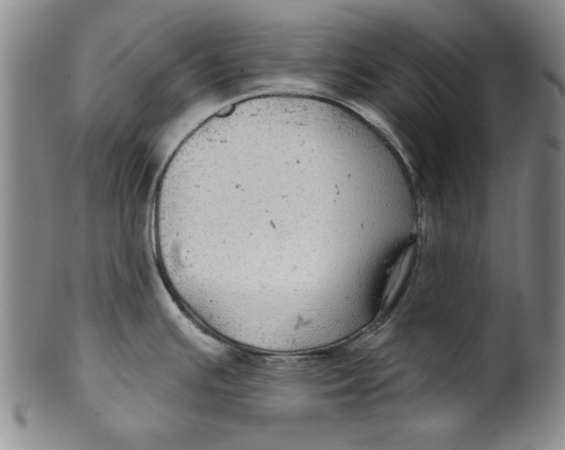 X0000100391391200806271347