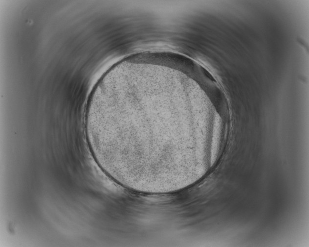 X0000100391392200806271347