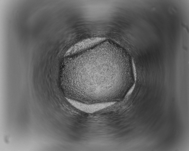 X0000100391393200806271346