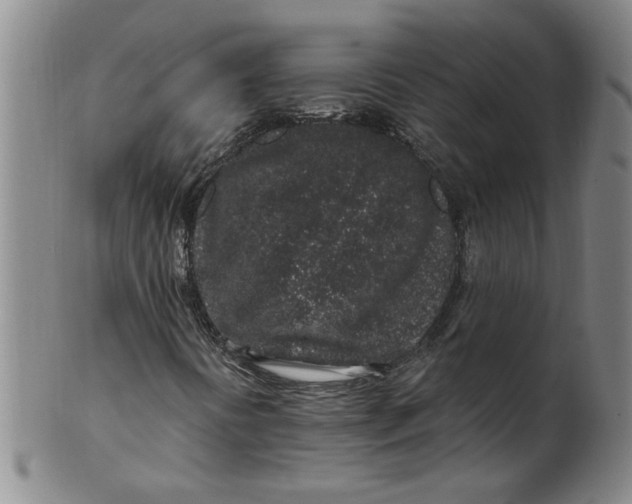 X0000100391394200806271346