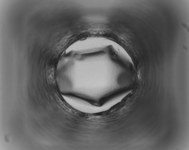 X0000100391396200806271346