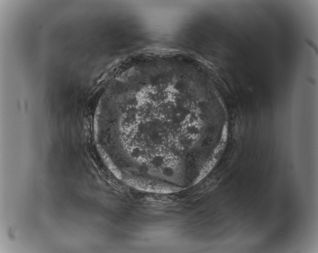 X0000100391397200806271346